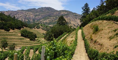 Napa Valley Winemaking Process & Practices: Climate & Viticulture ...