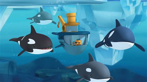 Octonauts Series 1 37 The Arctic Orcas BBC IPlayer