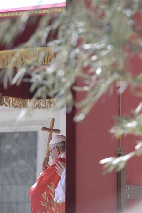 17 Domingo de Ramos en la Pasión del Señor