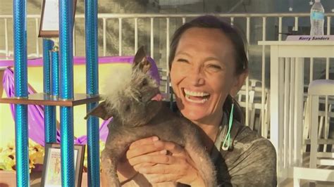 Meet Mr Happy Face Worlds Ugliest Dog Crowned