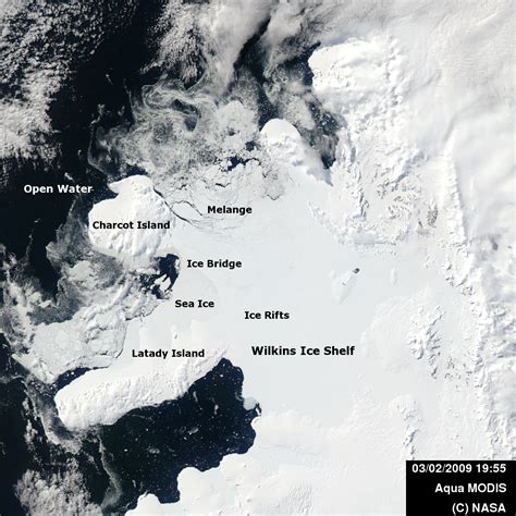 A Small Introduction To The Wilkins Ice Shelf