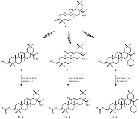 Pharmaceutics Free Full Text Acylation Of Oleanolic Acid Oximes