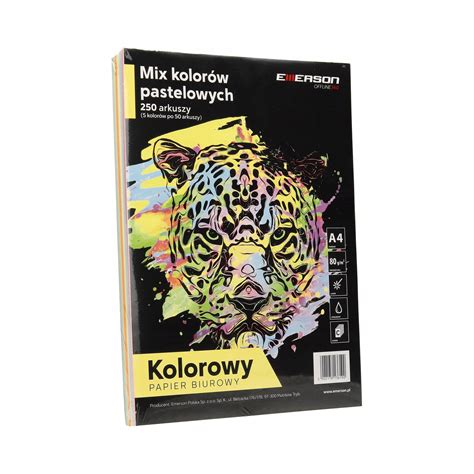 Papier Kolorowy Ksero A4 80g Mix Pastelowy 250 XEM1000N Cena