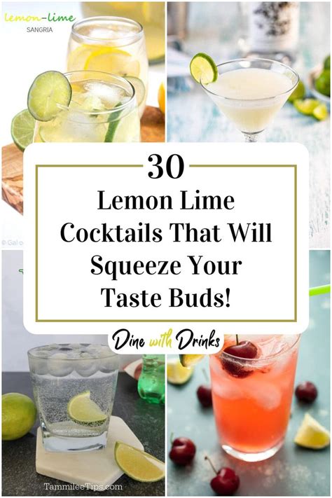 Lemon Lime Cocktails That Will Squeeze Your Taste Buds