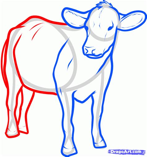 Cattle Drawing Simple