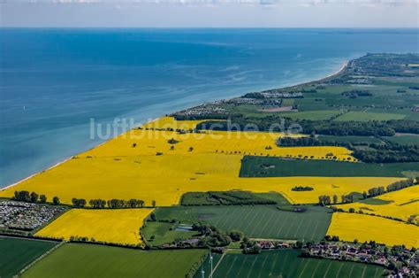 Luftaufnahme Heringsdorf Feld Landschaft Gelb Bl Hender Raps Bl Ten