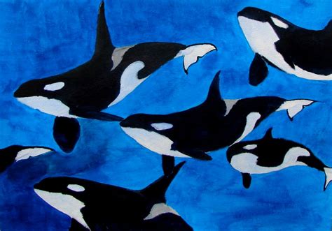 orca's pod by orcaya on DeviantArt