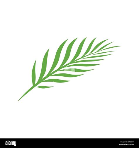 Dise O Del Logotipo De Palm Leave Silueta De Hoja De Palma Pictograma