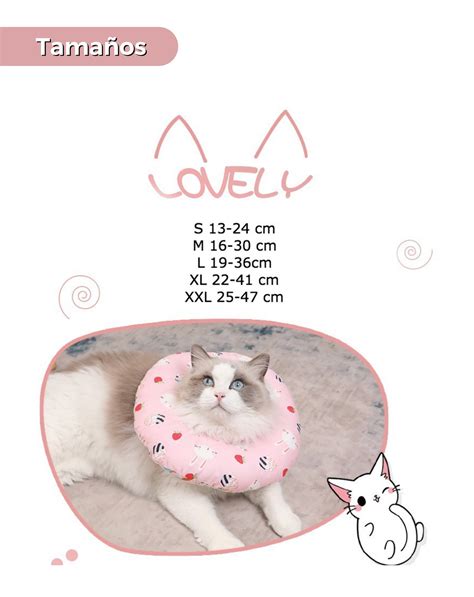 Collar Isabelino En Lona Talla M Luegopago