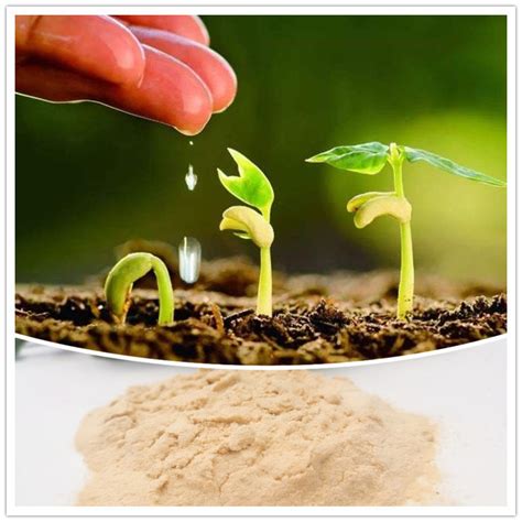 Amino Acid Chelate Calcium Powder Form Organic Fertilizer Calcium