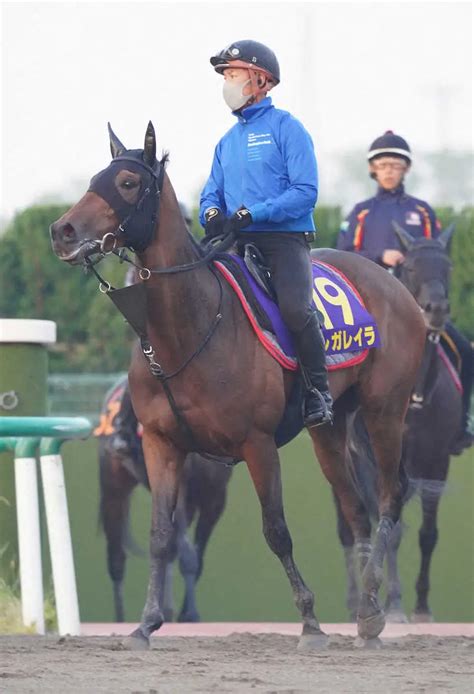 ダービー出走馬採点表 ― スポニチ Sponichi Annex ギャンブル