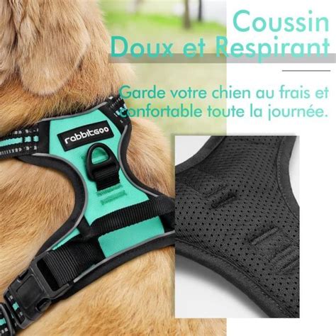 Harnais Chien Xl Arnais Mente Verte Anti Traction R Fl Chissant Gilet