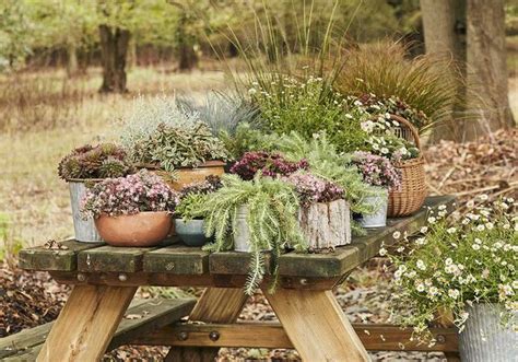 En automne 12 gestes pour préparer son jardin pour le printemps Elle