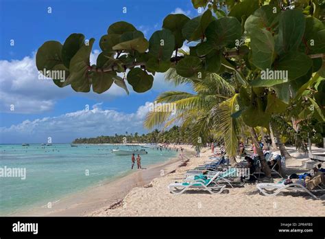 Cotubanama National Park Isla Saona Dominican Republic Stock Photo