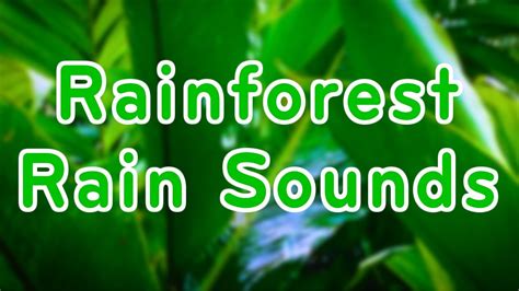 Rainforest Rain Sounds | 10 Hours Relaxation Sounds | Relaxing White ...