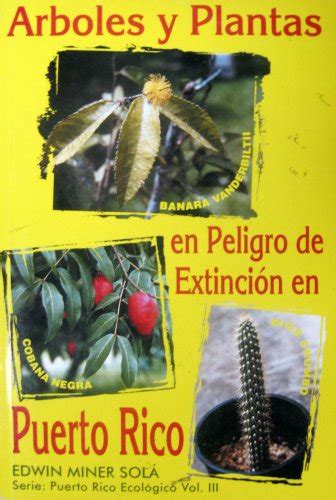 Details 48 árboles Que Están En Peligro De Extinción Abzlocalmx