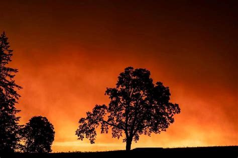 Estados Unidos Los Incendios Forestales En El Oeste Del País Siguen