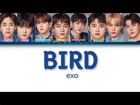 Exo Bird The Best Versi Lirik Terjemah Indonesia YouTube