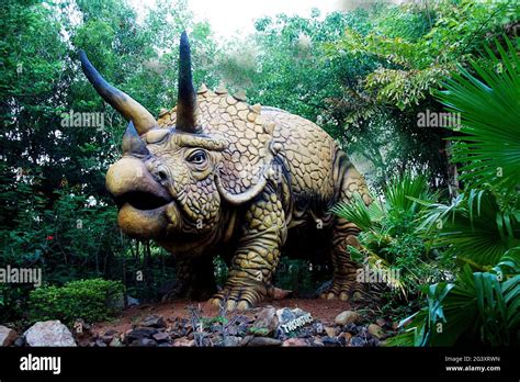 Imagen De Dinosaurio Fotografías E Imágenes De Alta Resolución Alamy