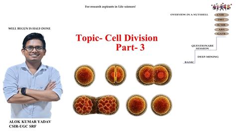 Cell Division Part Metaphase Anaphase Telophase Cytokinesis Csir