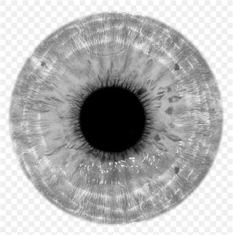 Human Eye Pupil Clip Art Png 1092x1104px Watercolor Cartoon Flower