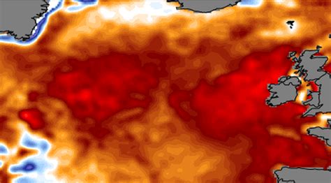 Las Islas Brit Nicas Sufren Una Hist Rica Ola De Calor Marina Nunca