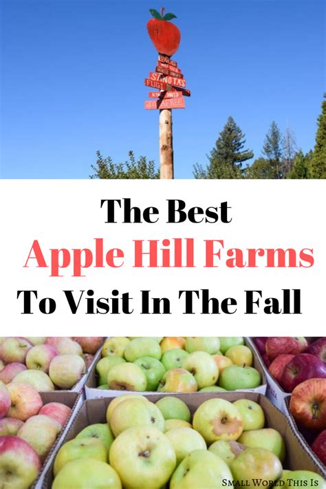 The Best Apple Hill Farms To Visit In The Fall Apple Hill California