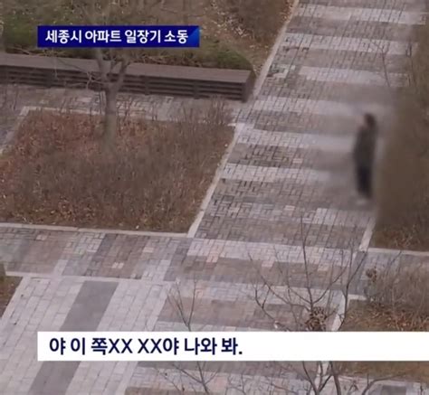 3·1절에 일장기 건 주민이유 묻자 윤 대통령 기념사 언급 지금국내엔 네모판