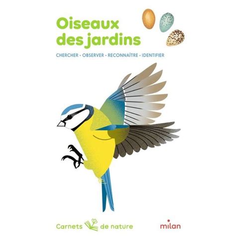 Oiseaux Des Jardins Carnets De Nature Chercher Observer