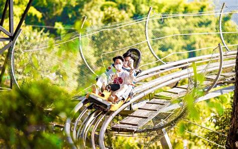 Chiang Mai Pongyang Jungle Coaster And Zipline