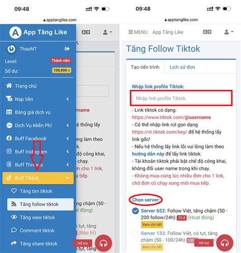 T Ng Follow Tik Tok Buff Follow T Ng Fl Tiktok Nhanh Nh T An To N
