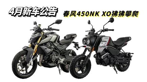 Cfmoto Nk Xo Papio Scrambler Youtube