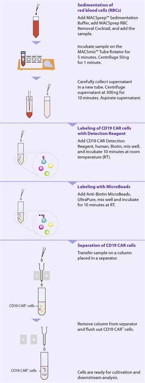 MACSprep CD19 CAR MicroBead Kit Human Miltenyi Biotec USA