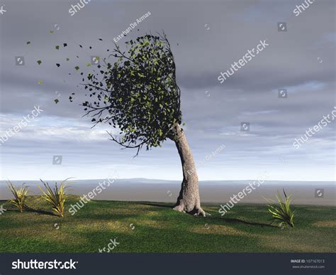 Windswept Tree Stock Illustration 107167013