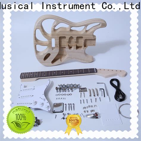 premium gibson sg guitar kit sngk045 supply for concert | XuQiu