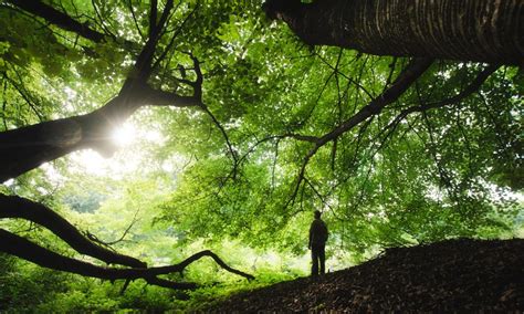 Video: Kenneth Clark's Civilisation, Part 11 - The Worship Of Nature - Men Of The West