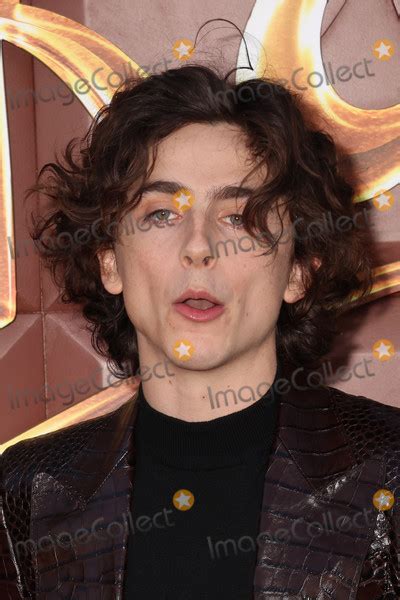 Photos And Pictures Timothee Chalamet 12 10 2023 Wonka Los Angeles