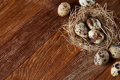 Conceptual Still Life With Quail Eggs In Hay Nest Over Dark Wooden