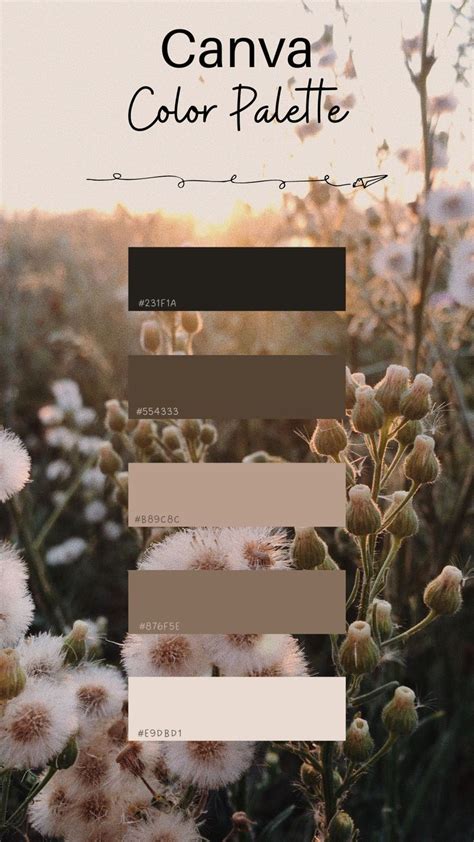 Canva Color Palette Artofit