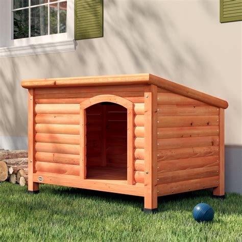 Dog House Designs to Make Your Furry Friend Feel At Home