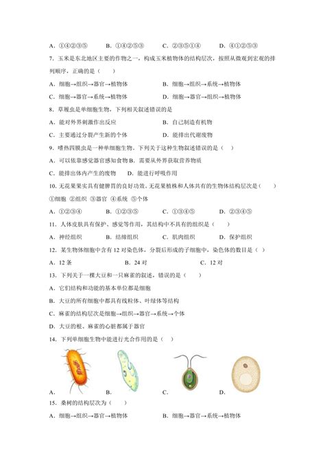 人教版生物七年级上册2022—2023学年 22 细胞怎样构成生物体 提高卷21世纪教育网 二一教育