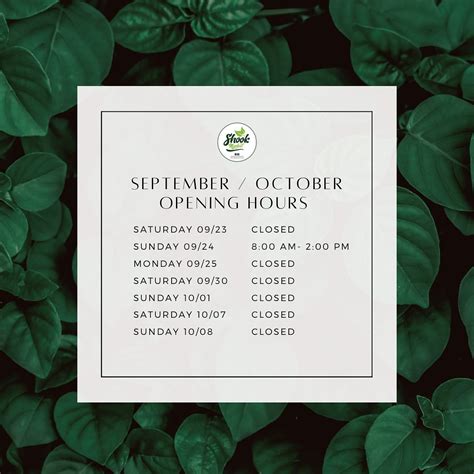 Shook Market | Fort Lauderdale FL