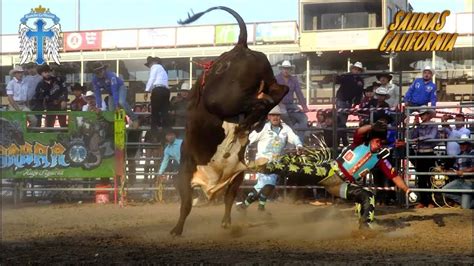 Regresaron Los Toros B Rbaros A Salinas California Agosto