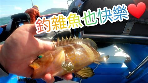 2022年7月中 釣雜魚也快樂之倉倉子您地喺邊😭😭😭 香港艇釣 香港釣魚 船釣 生蝦 波子壓底 Fishinglife