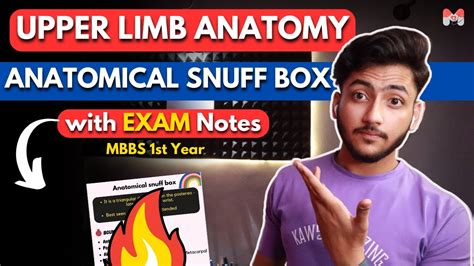 Upper Limb Anatomy Anatomical Snuff Box Mbbs St Year Full