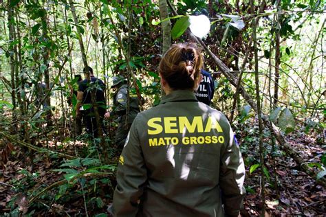 Multas Por Crimes Ambientais Em Mato Grosso Chegam A R Milh Es Em