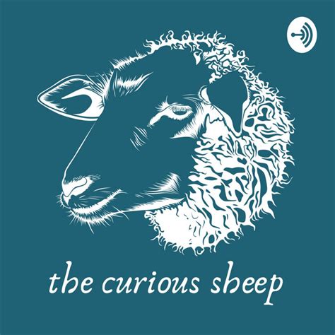 The Curious Sheep Podcast On Spotify