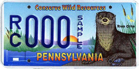 Pennsylvania License Plate Image