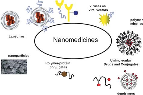 Figure 10 From Nanosized Hydroxyapatite And Other Calcium Phosphates Chemistry Of Formation And