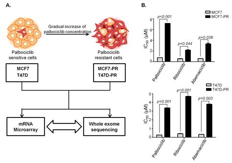 Genes Free Full Text Deregulated Immune Pathway Associated With